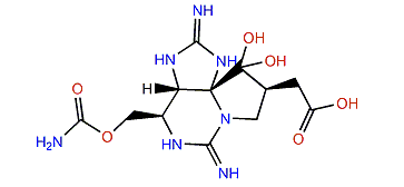 11-Saxitoxinethanoic acid